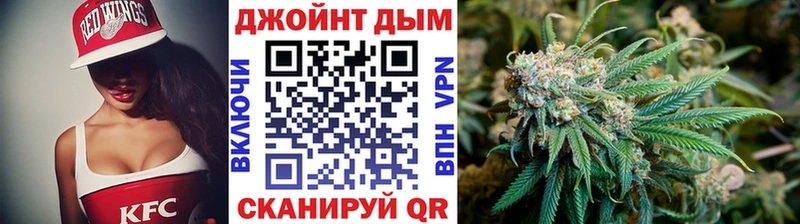 Виды наркотиков купить Нерчинск СК  Псилоцибиновые грибы  MEGA ТОР  Мефедрон  ГАШ 