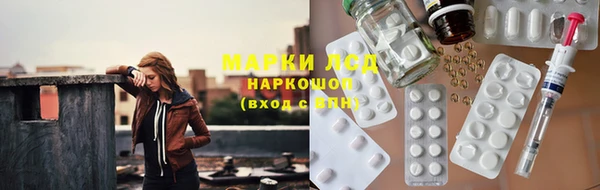ГАЛЛЮЦИНОГЕННЫЕ ГРИБЫ Бородино