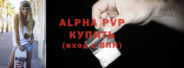 ГАЛЛЮЦИНОГЕННЫЕ ГРИБЫ Бородино