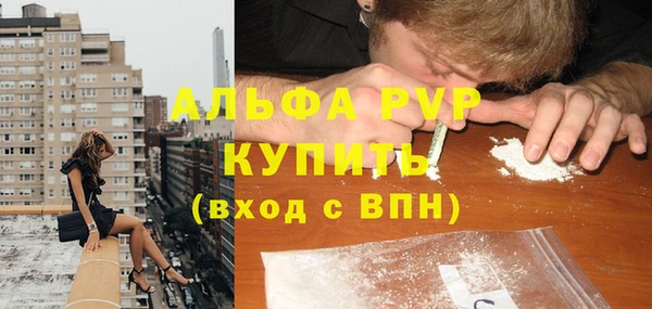 ГАЛЛЮЦИНОГЕННЫЕ ГРИБЫ Бородино