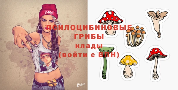 ГАЛЛЮЦИНОГЕННЫЕ ГРИБЫ Бородино