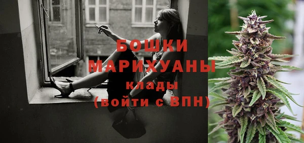ГАЛЛЮЦИНОГЕННЫЕ ГРИБЫ Бородино