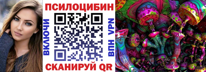 Псилоцибиновые грибы мицелий  МЕГА рабочий сайт  Нерчинск  купить закладку 